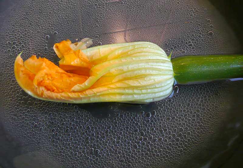 gefuellte-zucchini-blueten-in-wasser