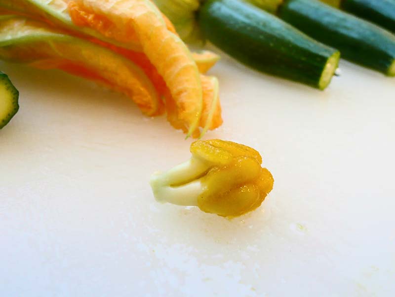 gefuellte-zucchini-blueten-stempel-entfernen