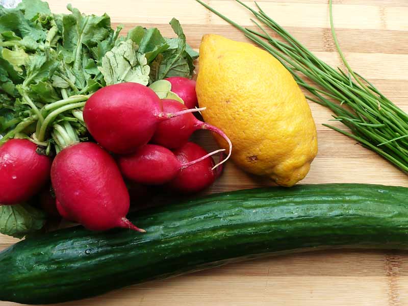 Gurken-Radieschen-Salat-Zutaten
