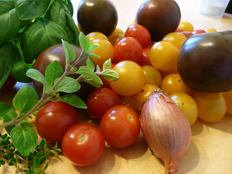 Tomatensalat, gequetscht und mit frischen Kräutern verfeinert